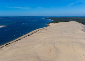 025f8045 f388 4a0a b613 8c58cbc71600