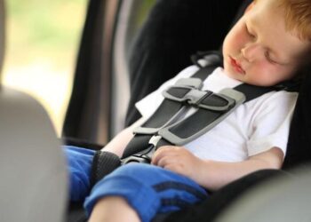 0cad1bd2 bc12 45d4 9855 0cadd037be74