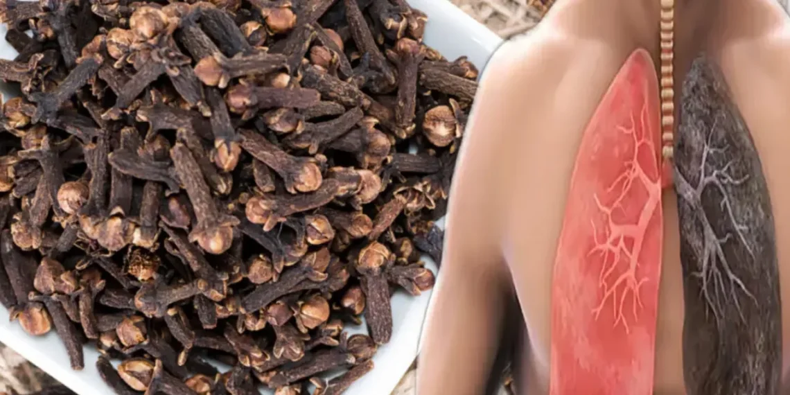 Cette épice de votre cuisine cache un secret contre la bronchite que 70% des gens ignorent 7 Cette épice de votre cuisine cache un secret contre la bronchite que 70% des gens ignorent 13298e57 3c24 4e28 b854 c37a8aee717e jambe