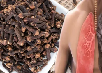 13298e57 3c24 4e28 b854 c37a8aee717e