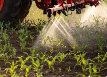 142fa601 b12e 4241 90ef 4d8bc2e4caca