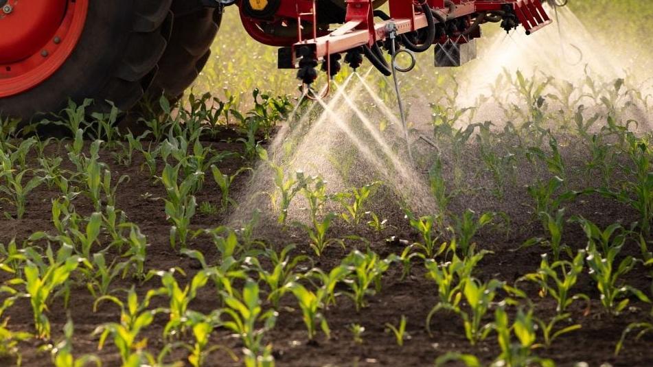 Loi Duplomb : pourquoi médecins et scientifiques alertent sur ce pesticide lié au cancer 6 Loi Duplomb : pourquoi médecins et scientifiques alertent sur ce pesticide lié au cancer 142fa601 b12e 4241 90ef 4d8bc2e4caca jambe