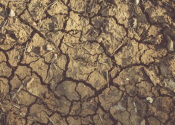 1463791d 13d5 4e8c 80db 3693afbc961a