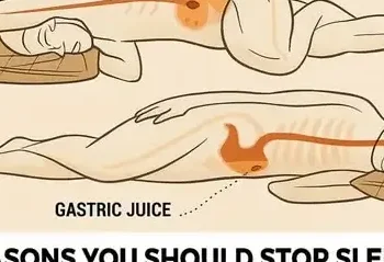 15e78271 cf1a 491c baf8 1777f620eb58