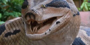 1d325e75 fe25 4cc4 a0d2 cd1143a09ea6