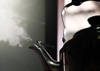 2ce6f4b2 ae62 40d7 92c4 a1fdca552a59