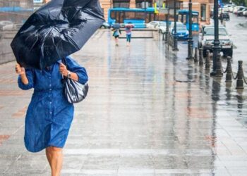 388530a2 2401 4e4d 9afe 3d390029c26b