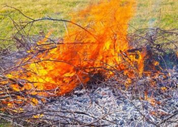 3d0411e4 9f85 4061 99e6 1b400bad1e18