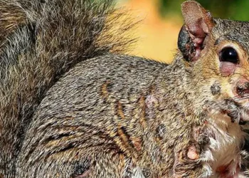 4035b253 76c5 4b43 97ad 8dea213c5d22