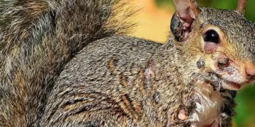 4035b253 76c5 4b43 97ad 8dea213c5d22