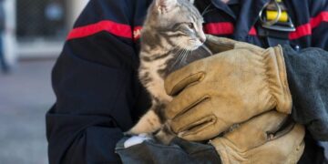 43a76f29 96f3 4016 82df b97fe96daca6