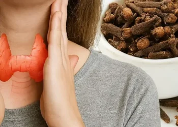 5bc478ee eaff 4fa8 a465 6be1d903094f