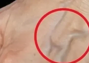 5c6e6112 1145 4b0a 87fb f01427209c64