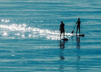 62493ac0 7ab7 4346 9748 3935796e4aa2