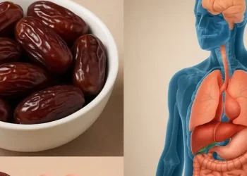 640b2aa8 87fe 4855 8653 f68db2ed9e28