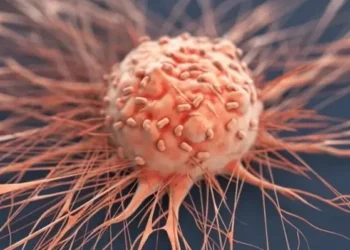 Ces 6 aliments que les médecins vous supplient d'arrêter : "Ils alimentent les cellules cancéreuses" 4 Ces 6 aliments que les médecins vous supplient d'arrêter : "Ils alimentent les cellules cancéreuses" 6fa941d8 999c 4a25 a5f8 32b1a648f4ff