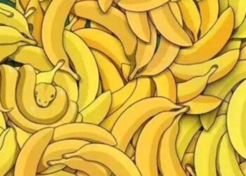 757aaebe d418 4bf4 9fab e633e39d943f