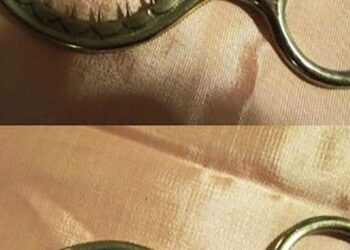 7fd7c1d5 b11e 4dcb af07 796e606d2b59