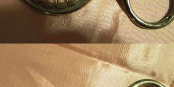 7fd7c1d5 b11e 4dcb af07 796e606d2b59