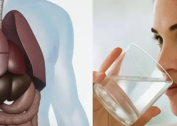 815e1bea 3bad 4b9c 9c39 31175878ce03