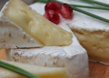 Vérifiez d'urgence vos frigos : ce que cache le silence de Lidl sur ces 6 fromages contaminés 12 Vérifiez d'urgence vos frigos : ce que cache le silence de Lidl sur ces 6 fromages contaminés 82db6457 a860 491c bc53 47c864c637d4