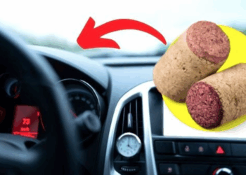 Un bouchon de liège dans sa voiture, l’astuce méconnue qui change tout au moment de prendre le volant