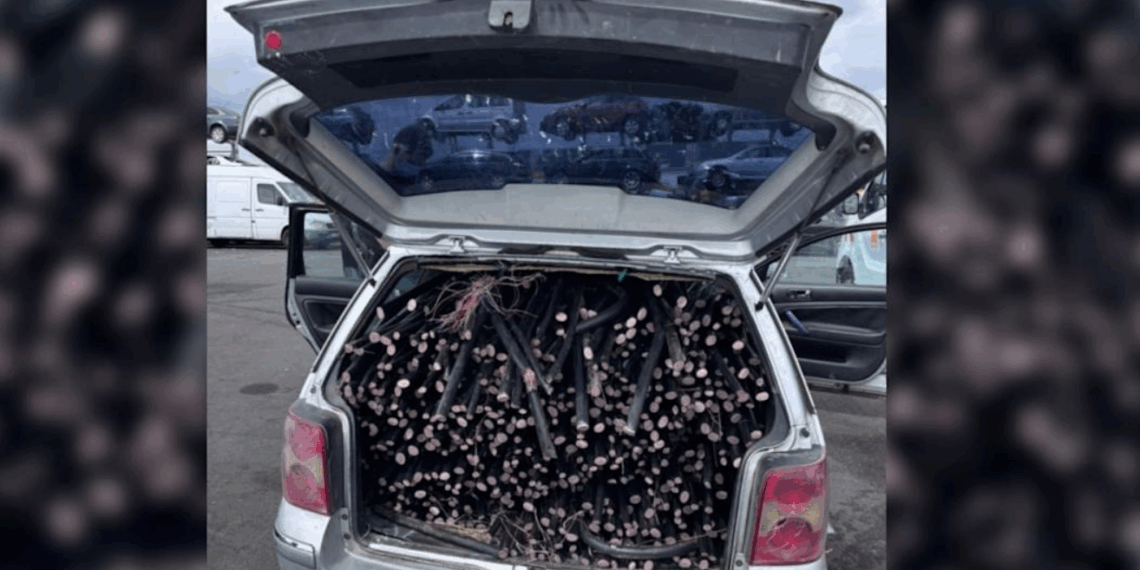 Nantes: l’incroyable arrestation de voleurs de câbles de télécoms par le GIGN