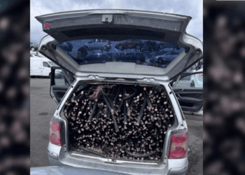 Nantes: l&rsquo;incroyable arrestation de voleurs de câbles de télécoms par le GIGN