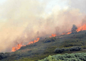 Incendies: Le feu progresse vite, la surface brûlée établie un record
