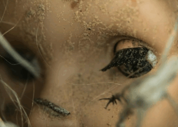 Il trouve une poupée oubliée dans un corbillard, c’est en fait le corps d’une petite fille de 1 an