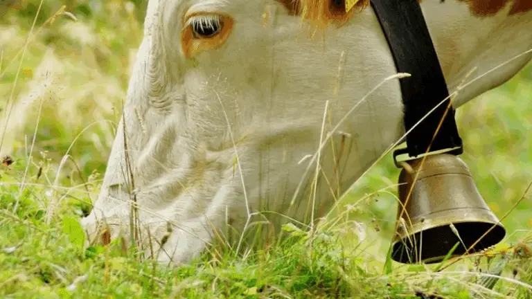 Capture d&rsquo;écran 2025-08-22 165651