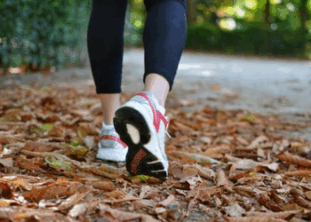 Marche et perte de poids : voici la distance à partir de laquelle la graisse fond sans effort selon Harvard