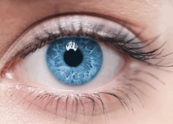 Les personnes avec les yeux de cette couleur sont plus intelligentes que les autres, révèle cette nouvelle étude