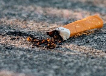 accdd80f 5eb4 4740 ba02 9c0a1067084e