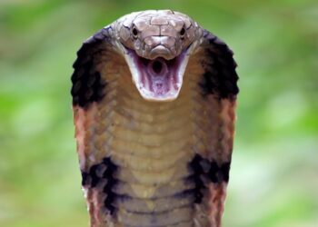 acecc572 1a6b 4c9b 9779 3d24605cc19a