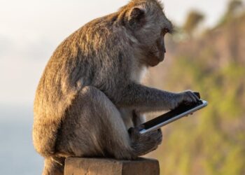 aff45897 5cc0 46b7 9386 cbc20a3c23a8