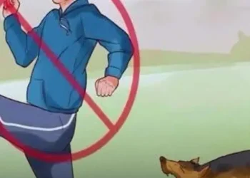 b4fd27ee a10e 40a6 add3 1a58b99e62a5