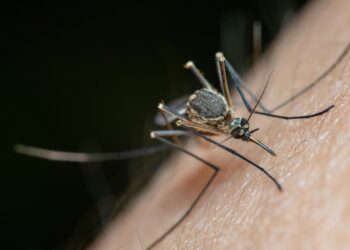 be7a8984 0212 4540 96ff 647df18d7d60