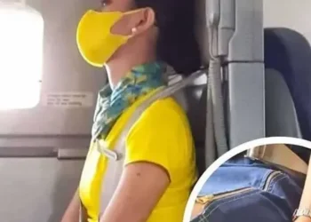 c7d1b4b6 5b05 46bb 834b 0239ee8231e0