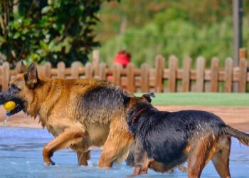 cab14986 6f83 437a 85dd 8618d17f3947