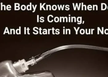 Cette découverte surprenante des scientifiques : votre odorat prédit votre espérance de vie 9 Cette découverte surprenante des scientifiques : votre odorat prédit votre espérance de vie d3a95b9a 8450 4b0c 8eee 24585c3f728d