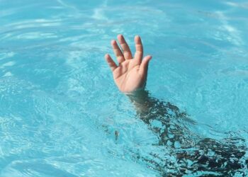 e56d6bfd 291c 4f7e b14c d0617b462fb0