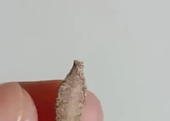 e697b7e9 d780 4131 be48 ce337dc80f07