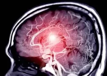 efe6408f fa6c 4e12 9f1c 6b030ab8cd40