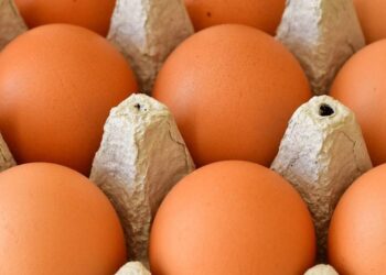 f1038871 9be6 4ed3 b83b 8b5511563777