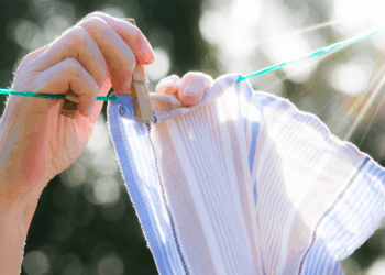 fedac7b6 068a 48f1 afbd 738da4a01fcd