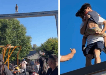 Un homme qualifié de « héros » après avoir sauvé un enfant bloqué sur un monorail à 30 mètres de haut