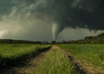 Risque de tornade confirmé ce mercredi : la liste des départements concernés
