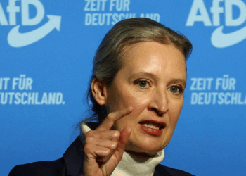 « Nous allons examiner tous ces cas de près » : le décès de six candidats d’extrême droite enflamme l’Allemagne