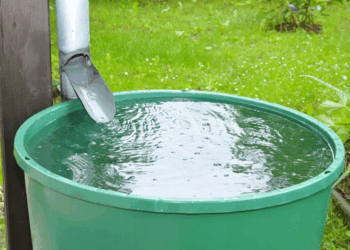 Récupérateur d’eau de pluie : ce que vous devez déclarer (ou pas) pour éviter une amende salée